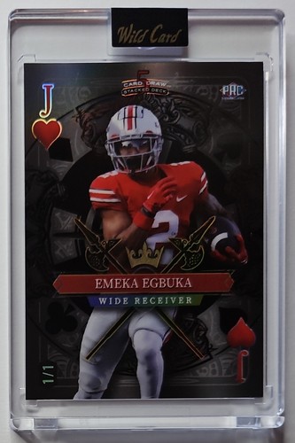 2024 wild card - 2024, ohio