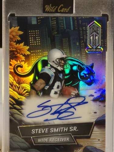 Custodia hit silver - hit,