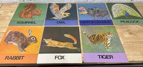 Carte lingua animali brian - lingua,