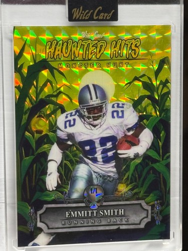 Wild card haunted - wild,