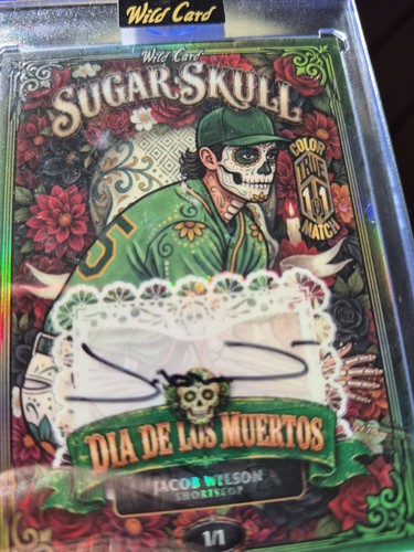 2026 wild card - haunted, hits