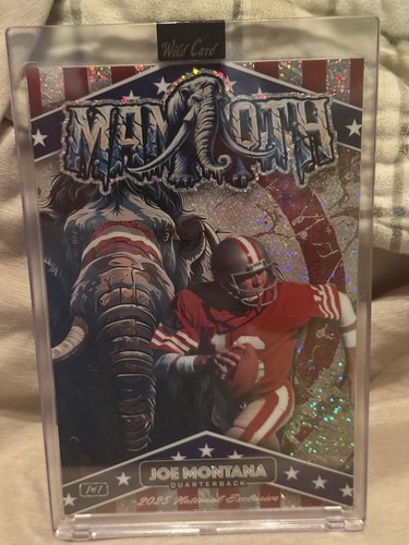 Joe montana wild card - montana,