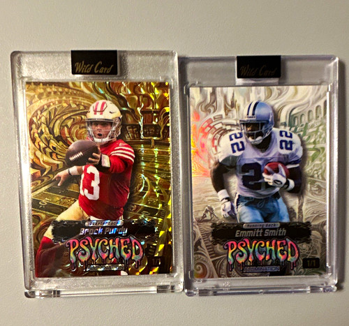 Lotto carte wild card holo - card,