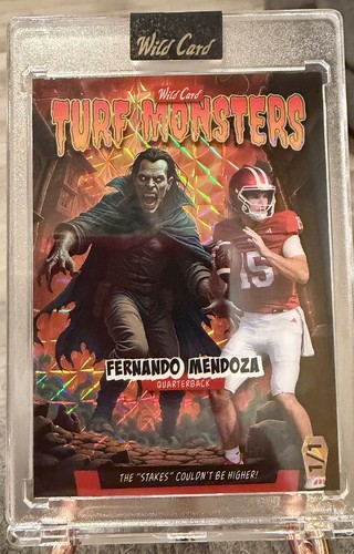Wild card fernando mendoza - fernando,