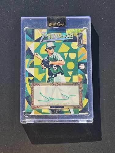2025 wild card allumination - wild,