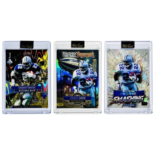Lotto carte wild card emmitt - carte,